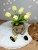 a7554432-c28c-4e81-83cc-2aea4bd57c5a.jpg
